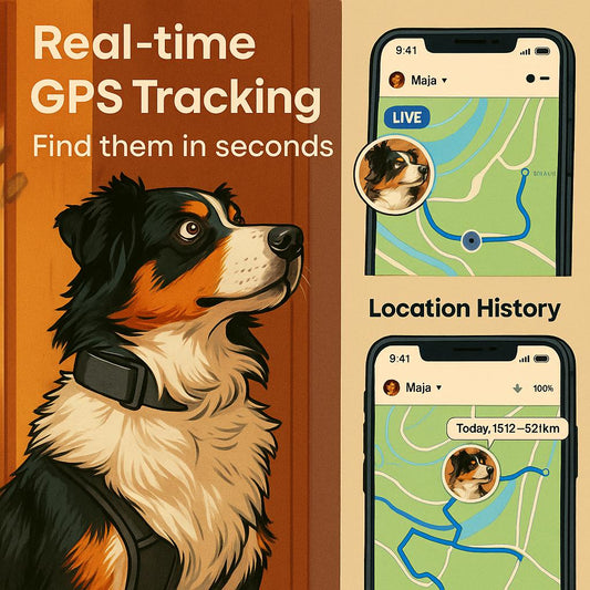 📍 Tractive GPS Dog Tracker – Real-Time Peace of Mind