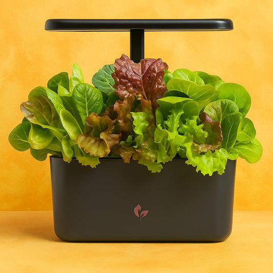 🌱 Indoor Herb Garden Kit – Grow Fresh at Home