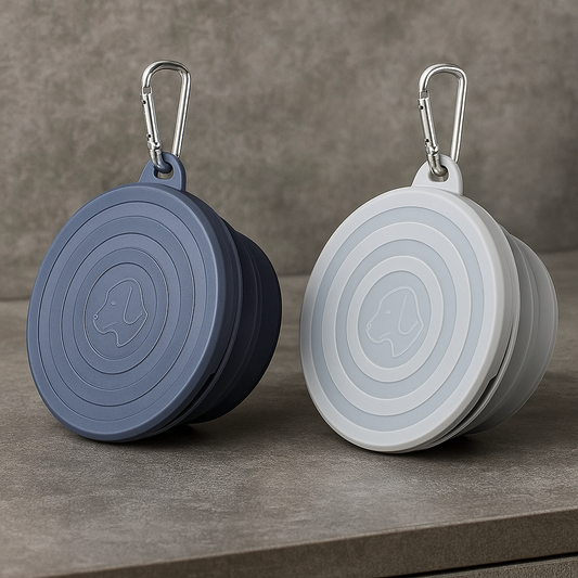 SLSON Collapsible Dog Bowls – Convenience Meets Clean Design 🐕
